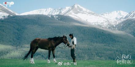 阿勒泰会尽快补充移动式厕所解决游客燃眉之急(图2)