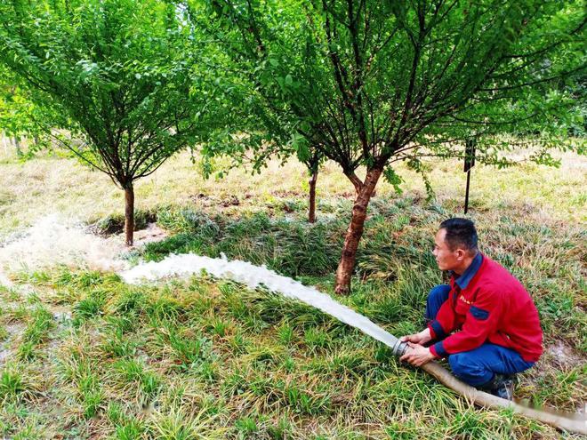 城市人每天产生那么多排泄物后来都咋处理的？看完又涨知识了(图9)