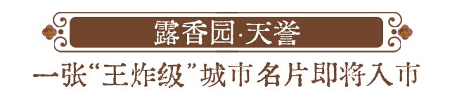 上海豪宅天花板来了魔都一线景观、上海三大名园、罕见大平层再现海派传奇！(图4)