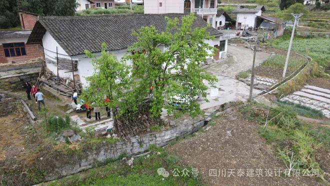 Kaiyun（中国体育）：四川泸州三层现代风格别墅占地150平方带大露台设计图纸(图1)